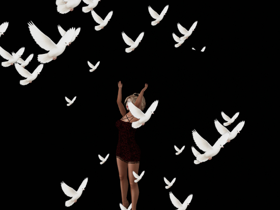 White Dove