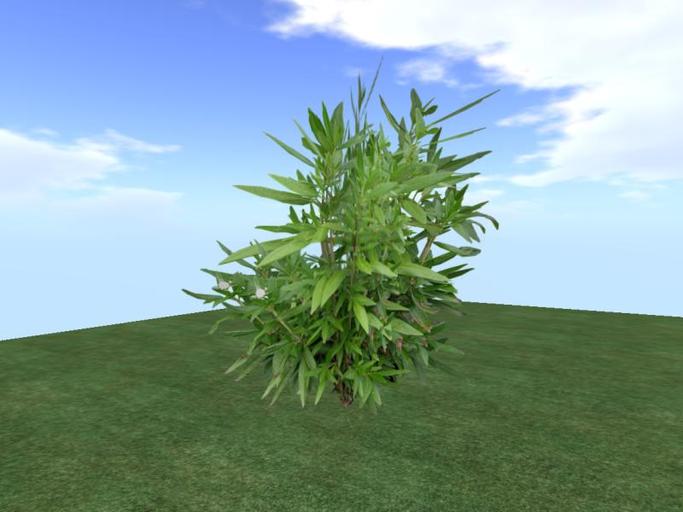 Arkads 1 Prim Bush Anemone v2