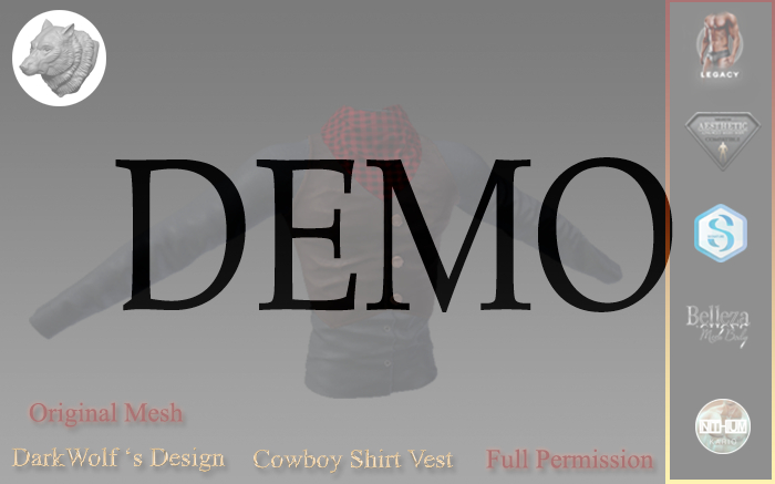 Cowboy Vest Shirt Men Demo