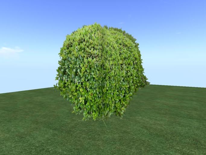 Arkads 1 Prim Boxwood v1