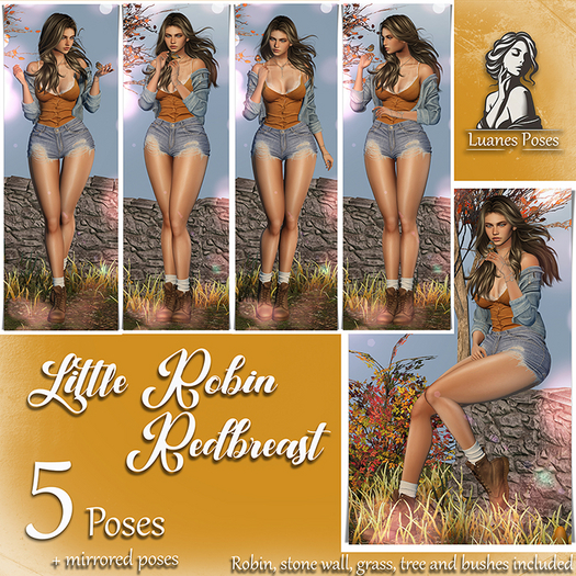 Luanes Poses - Little Robin Redbreast