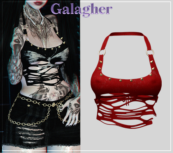 Galagher - Blaze Top Edition 4