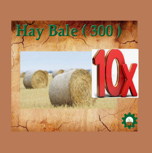 [10] DFS HAY BALE (300)