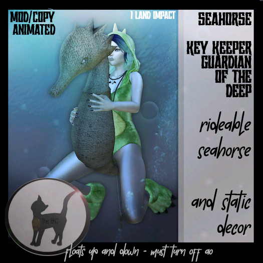 The EKC - KeyKeepers - Seahorse Guardian (add)