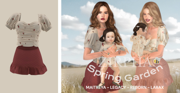 Pitixinha x Zirpha - Spring Garden Amaryllis