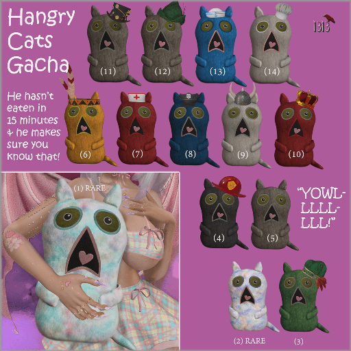 09 Raider Ragnar - Hangry Cats - 1313