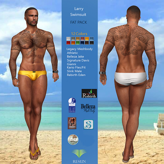 Res_Larry Swim Briefs Fat Pack