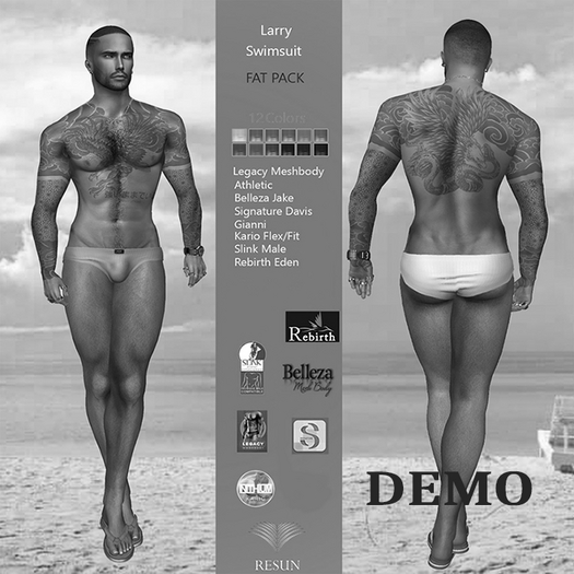 Res_Larry Swim Briefs All Colors Demo