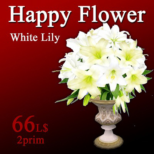 Happy Flower White Lily