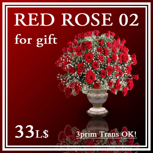 Red Rose 02