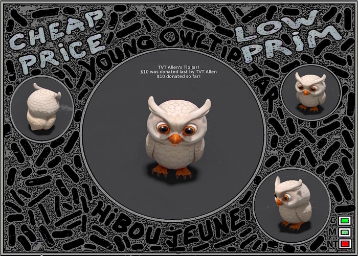 Owl  Young TIPJAR 