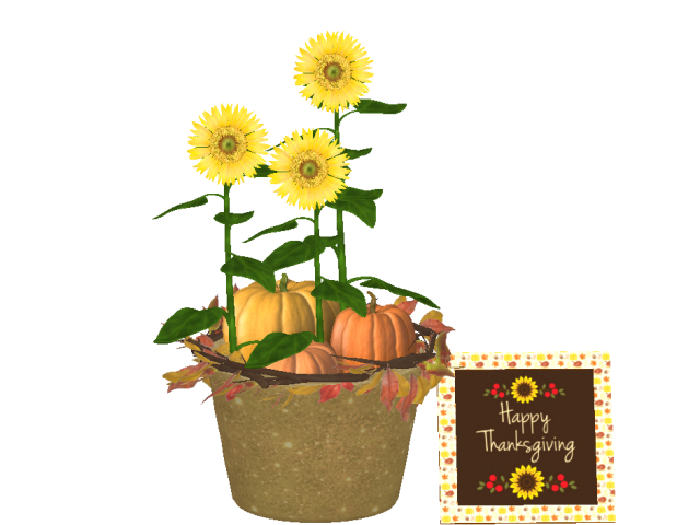 Thanksgiving Sunflowers