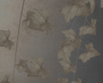 POTTED: Breedable SCALES OF SAND Beautiful Ivy Plant Seed