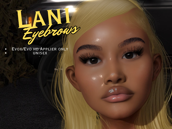Lani Brow Applier