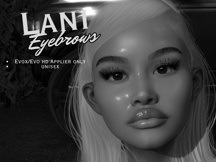 Lani Brow Applier DEMO