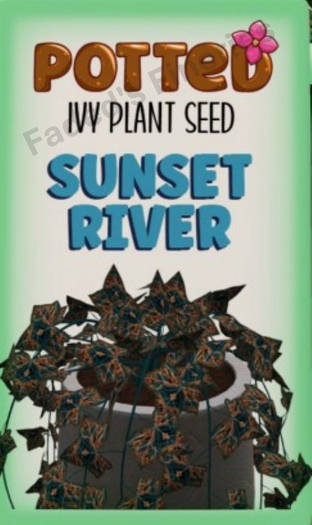 Potted: Ivy Seed: Sunset River