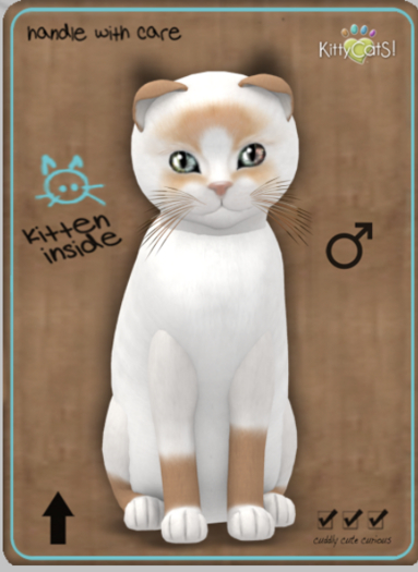 KittyCatS Box - Snowshoe - Red Male