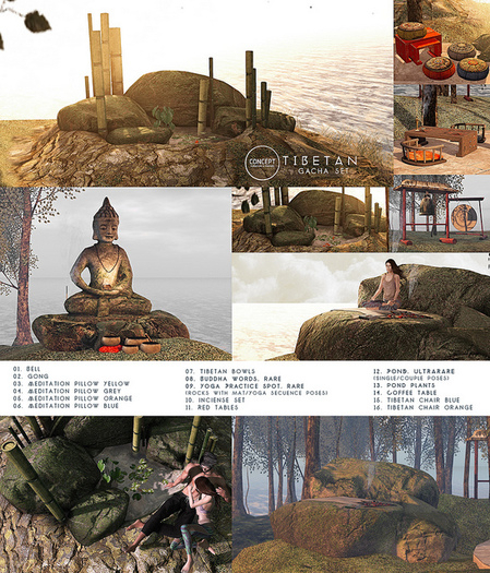 12. Concept} Tibetan Pond. RARE