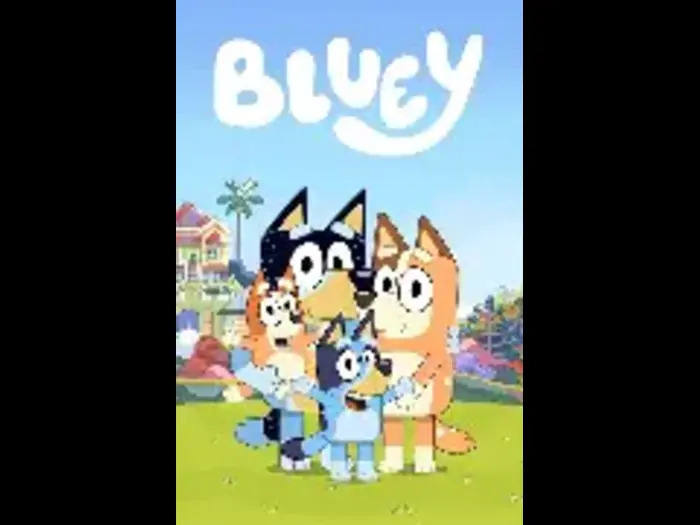 Box Of Bluey Gestures