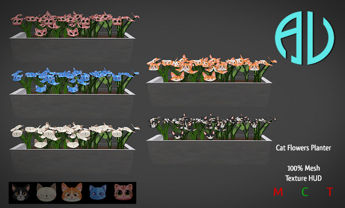 AV - Cat Flowers Planter