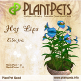 PlantPet Seed [Hot Lips *Electra*]