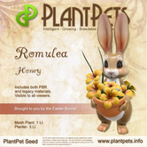 PlantPet Seed [Romulea *Honey*]