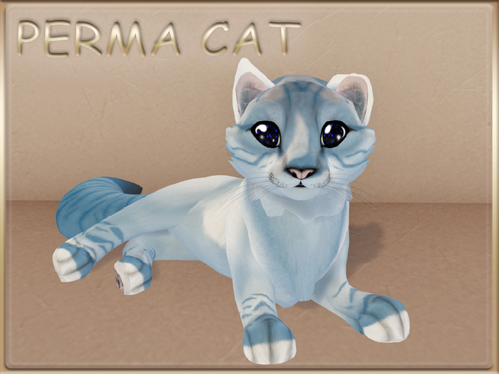 Second Life Marketplace - Stray Cats - Snowshoe Tabby - Denim (F)