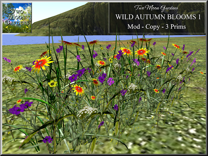 Autumn Flowers Promo