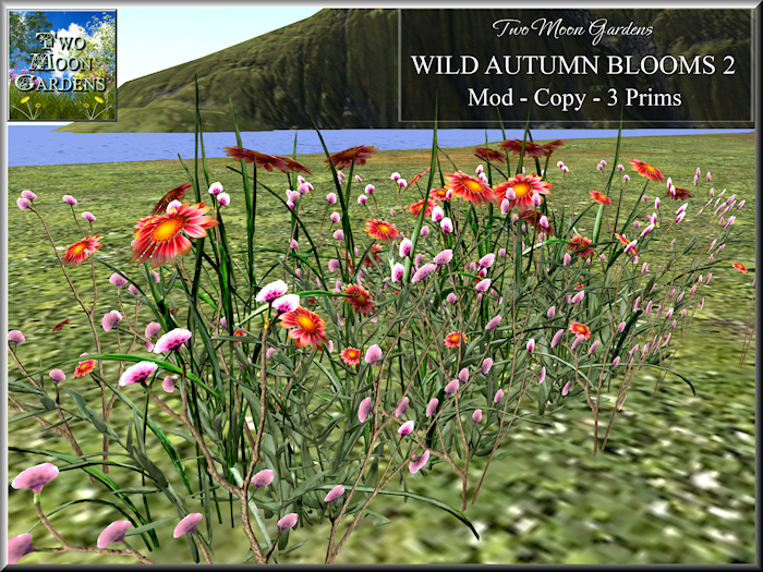 Autumn Flowers Promo