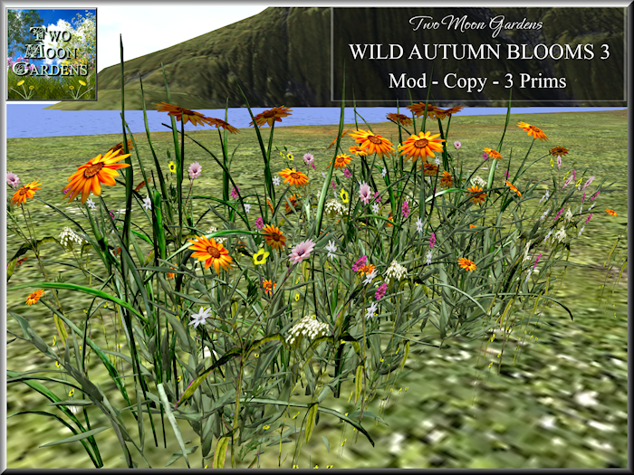 Autumn Flowers Promo