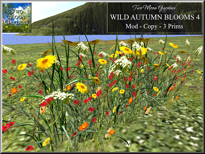 Autumn Flowers Promo