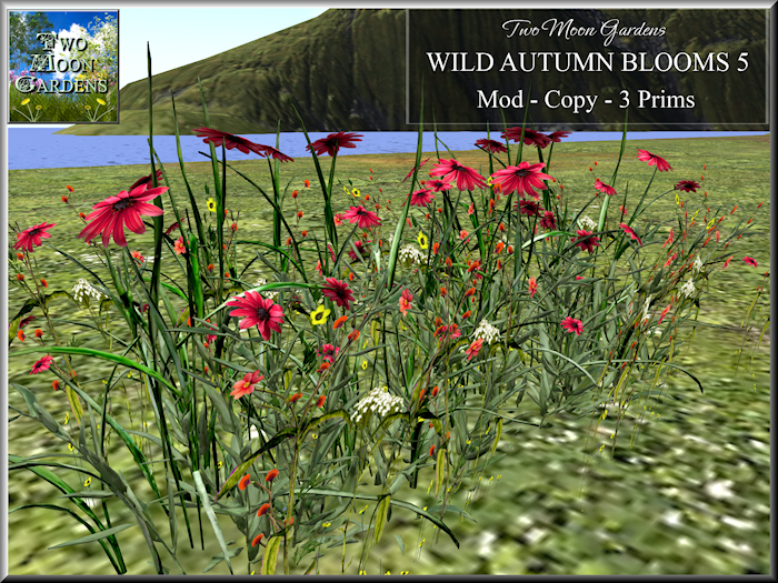 Autumn Flowers Promo