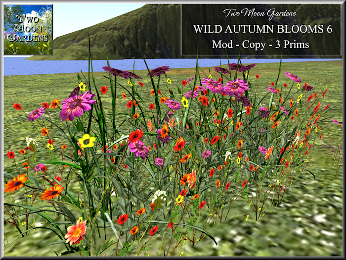 Autumn Flowers Promo