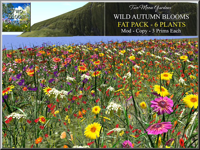 Autumn Flowers Promo