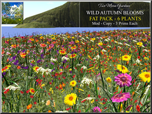 Autumn Flowers Promo