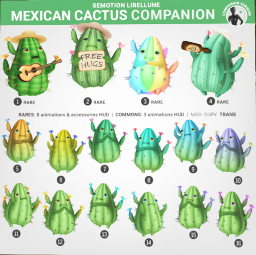 3. SEmotion Libellune Mexican Cactus Companion RARE