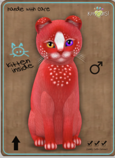KittyCatS Box - Confetti - CherryBerry Male