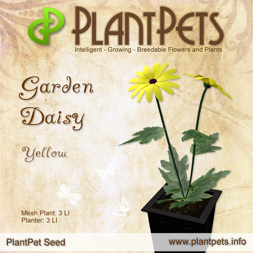 PlantPet Seed [Garden Daisy *Yellow*] Common