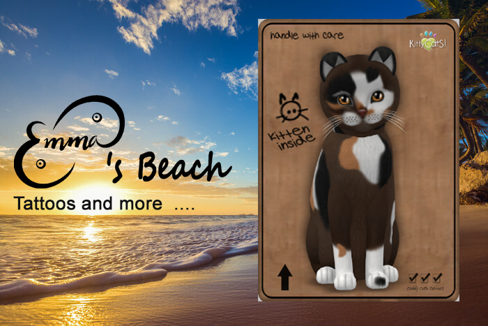 KittyCats Box #03 - Treise F Genesis Patch II 3Trait