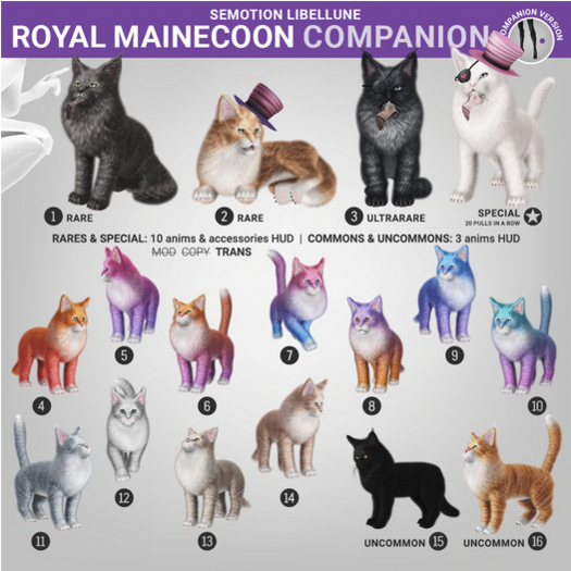 SEmotion Libellune Royal Mainecoon Companion RARE 01