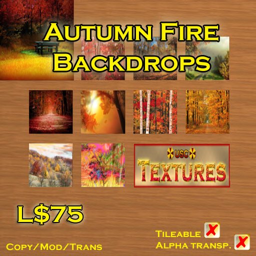 USC Textures - Autumn Fire Backdrops