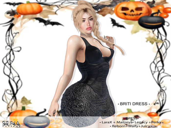 ╰┈➤ OCTOBER GIFT ➤S-Briti dress