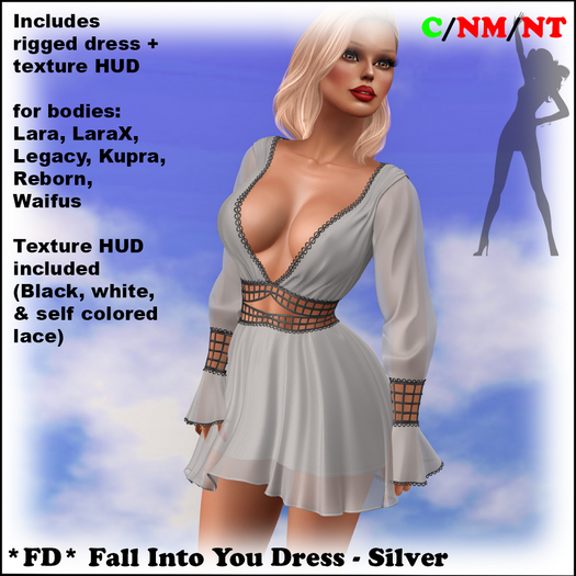 *FD* Fall Into You Dress [Boxed] Silver