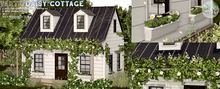 tarte. daisy cottage