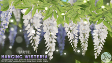 tarte. hanging wisteria (white)