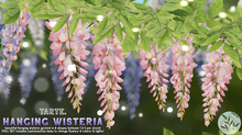 tarte. hanging wisteria (pink)