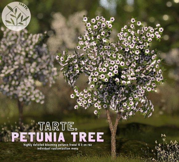 tarte. petunia tree (white)