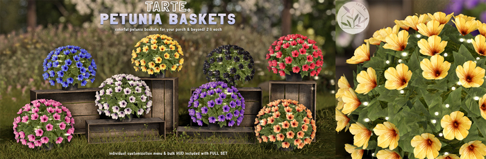 tarte. petunia baskets - FULL SET