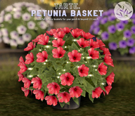 tarte. petunia basket (red)