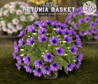 tarte. petunia basket (purple)